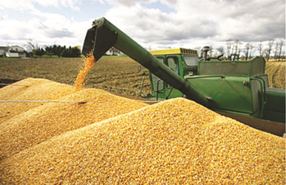 Νέα πτώση στα σιτηρά προβλέπει το USDA