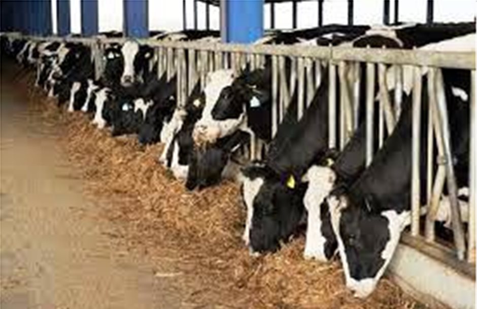 Ανησυχία αγελαδοτρόφων για μειωμένα δικαιώματα λόγω οζώδους