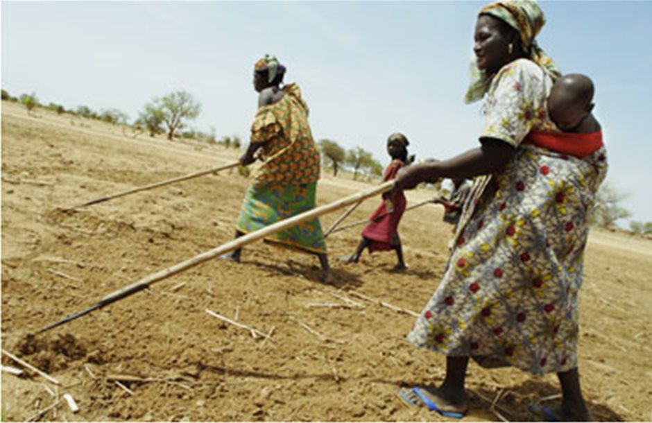 Ζητούμενο κατά τον FAO οι επενδύσεις στη γεωργία 