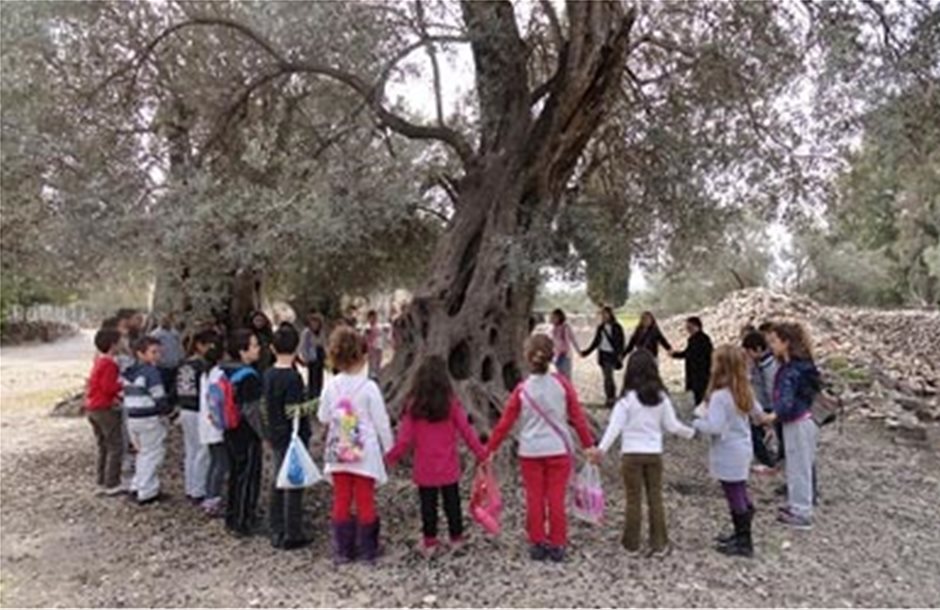 Τον κόσμο της ελιάς ανακαλύπτουν τα παιδιά στην Κρήτη