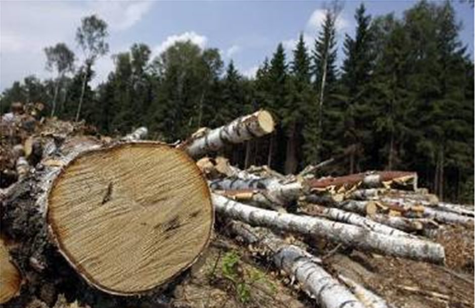 Πολιτική μηδενικής αποψίλωσης δασών άμεσα στη Νορβηγία