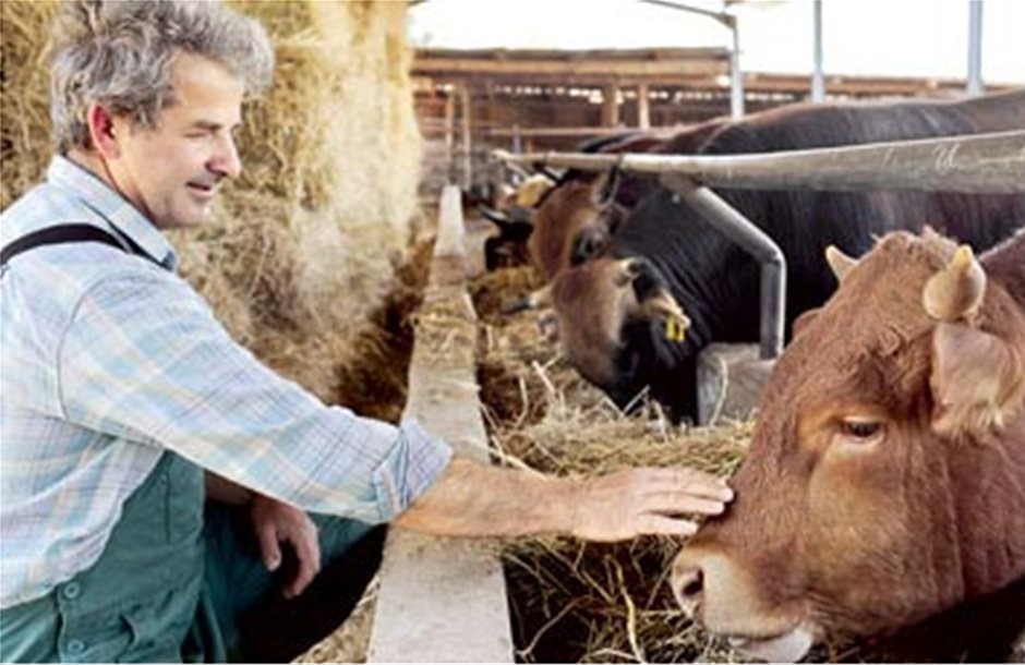Οδηγίες προς τους κτηνοτρόφους σε περιπτώσεις θεομηνιών 