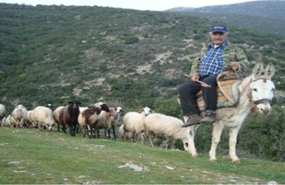  Η Βιοποικιλότητα και η κτηνοτροφία στο Δήμο Φαιστού