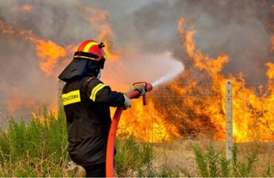 Αυξημένος ο κίνδυνος πυρκαγιών φέτος στα δάση 