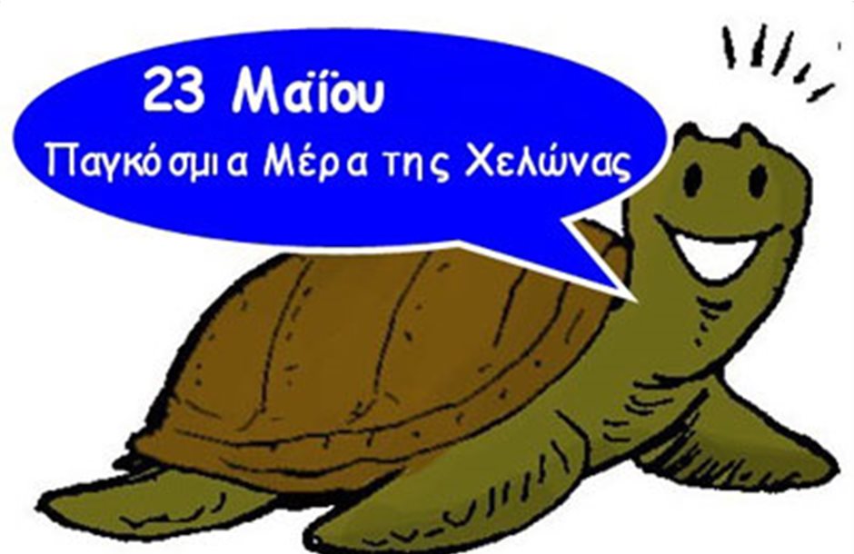 Oδηγίες προστασίας της θαλάσσιας χελώνας από τον ΑΡΧΕΛΕΩΝ