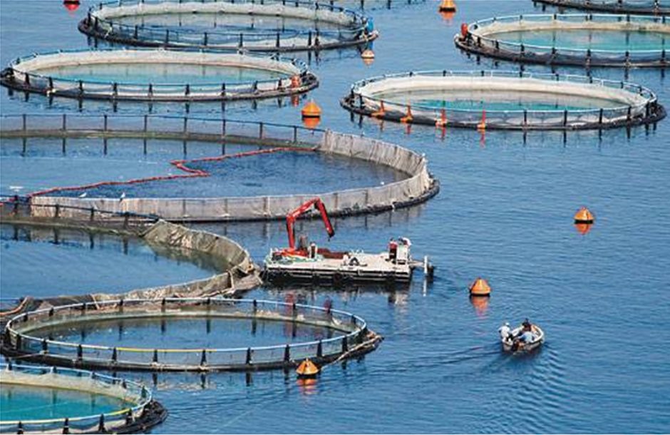 Διπλό κάλεσμα για επένδυση σε υδατοκαλλιέργεια και αλιεία