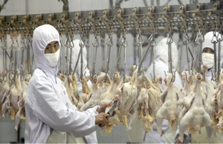 «Πράσινο φως» του USDA για την εισαγωγή κινεζικού κοτόπουλου στις ΗΠΑ 