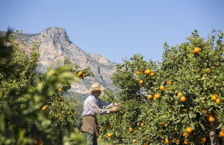 ksenonas-agroktima-agrotourismoa-ecotourismos-ellada