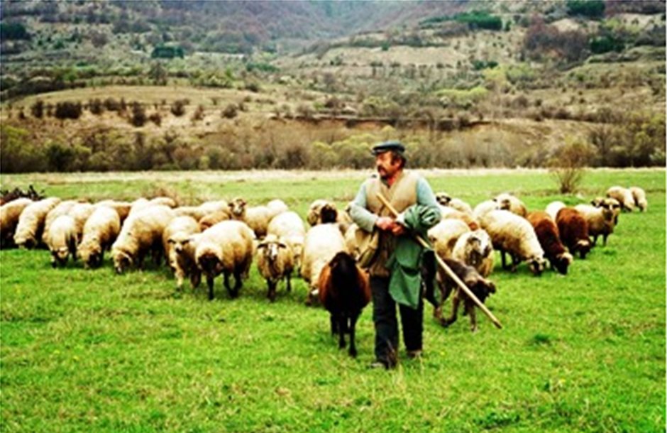 Βιολογική κτηνοτροφία σε Λήμνο,Λέσβο,Χίο προς πληρωμή