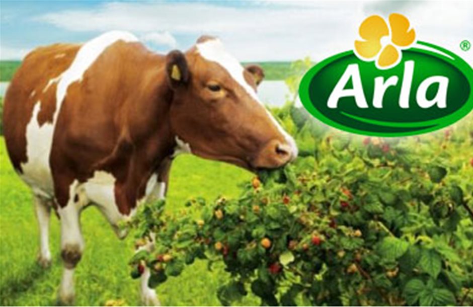Πιο τυχεροί οι Βρετανοί γαλακτοπαραγωγοί της Arla