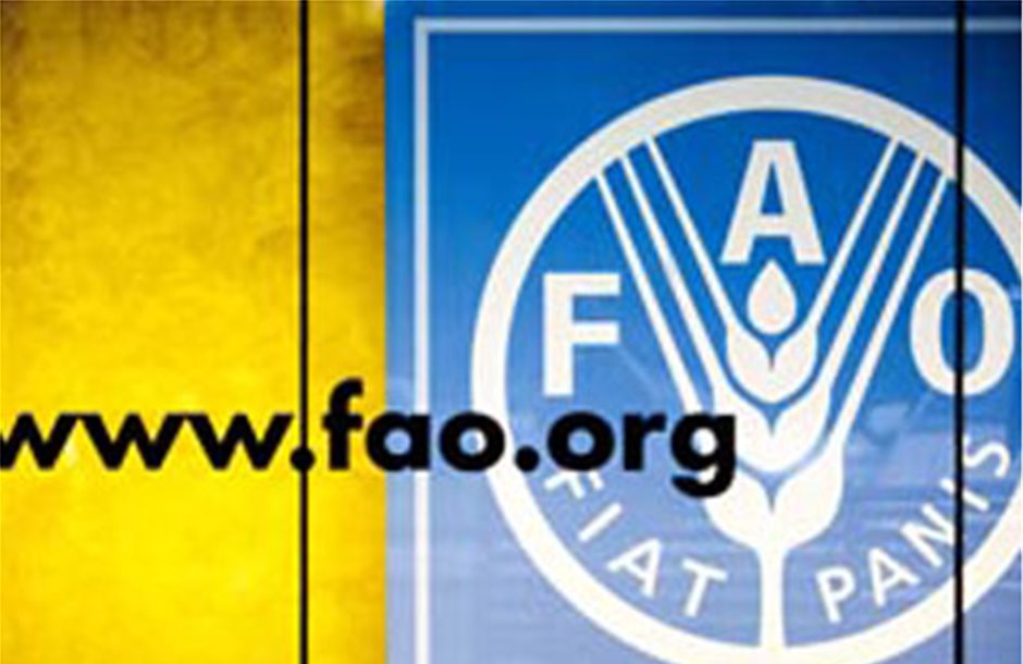 Ανησυχία  FAO για την άνοδο στις τιμές τροφίμων λόγω Ουκρανίας