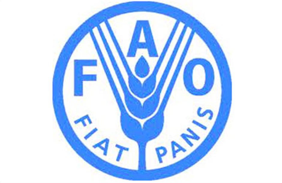 «Ιστορική» παραγωγή σιταριού βλέπει ο FAO 