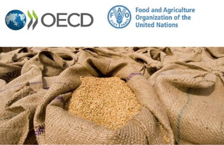 Αύξηση της ζήτησης για δημητριακά και ζωικά προβλέπουν ΟΟΣΑ και FAO