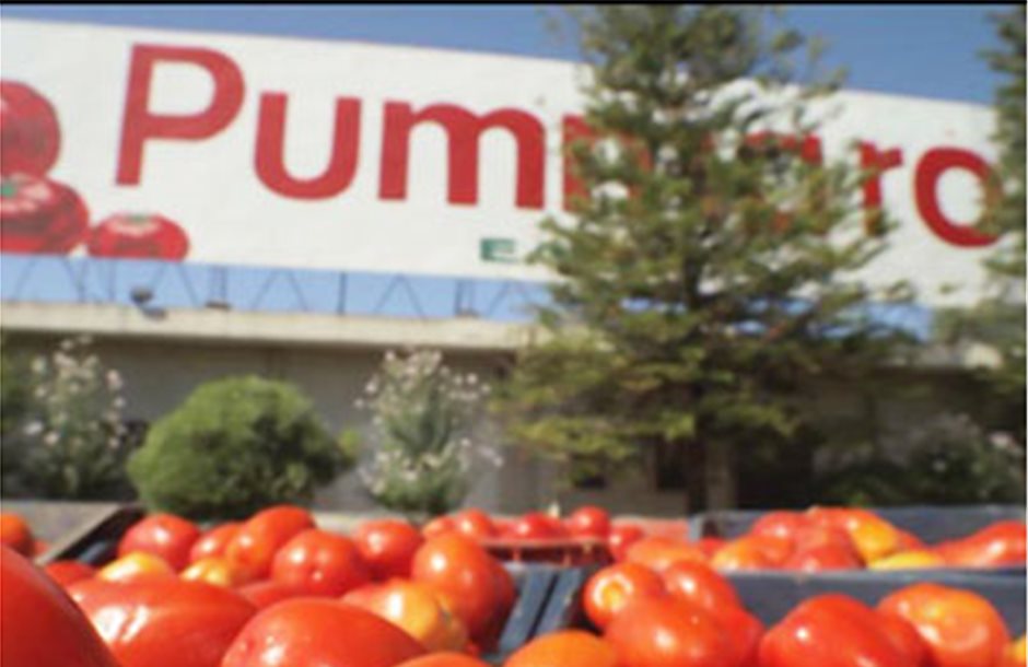 Μείωση 4 ευρώ στη ντομάτα από τη Unilever για το 2017