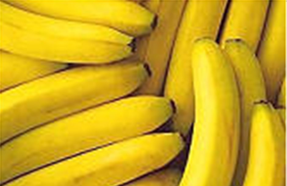 Στρατάκης: Νέο καθεστώς ενίσχυσης για τους μπανανοκαλλιεργητές