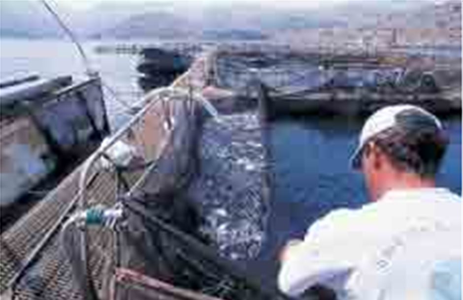 ΠΑΣΕΓΕΣ: Υστερεί το Επιχειρησιακό Πρόγραμμα Αλιείας 2007-2013
