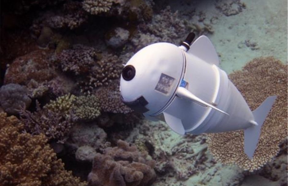 mit-robotic-sofi-fish-3d-printed-parts-future-underwater-observation-1