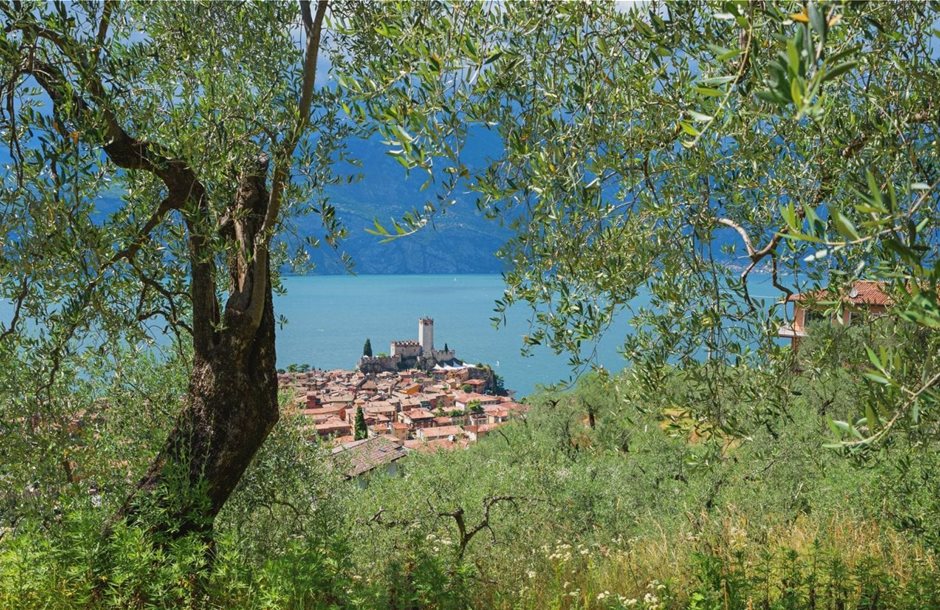 olive-groves-above-lake-garda-1536x864