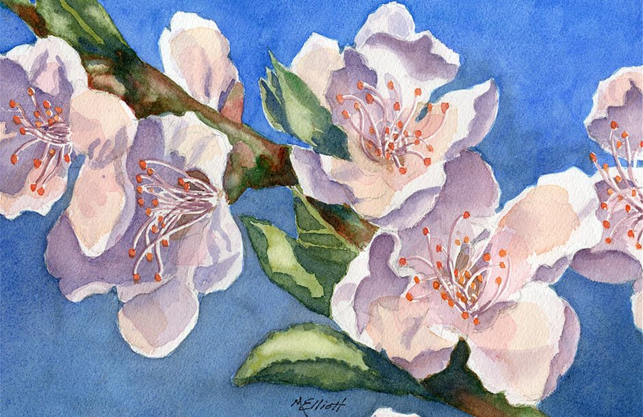 peach-blossoms-marsha-elliott