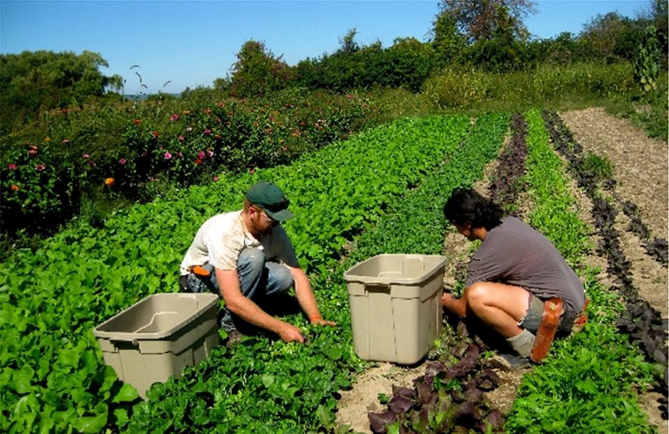 Πληρωμές 9,2 εκατ. ευρώ για Νέους Αγρότες του Αιγαίου έως τα τέλη του 2014
