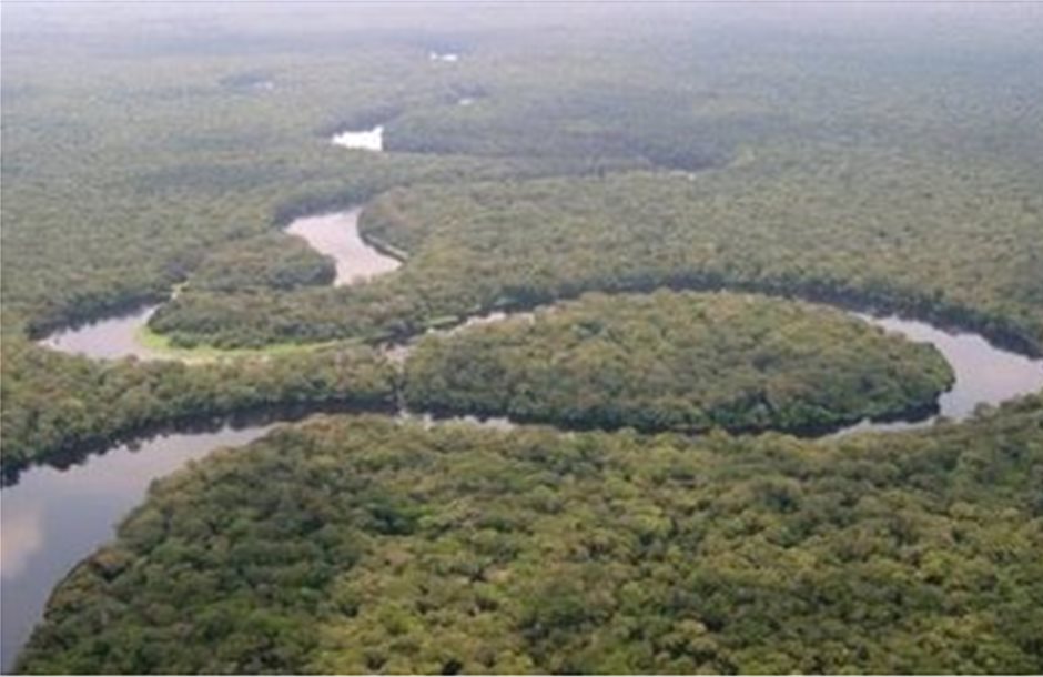 Τα τροπικά δάση του Κονγκό ανοίγουν για υλοτόμους