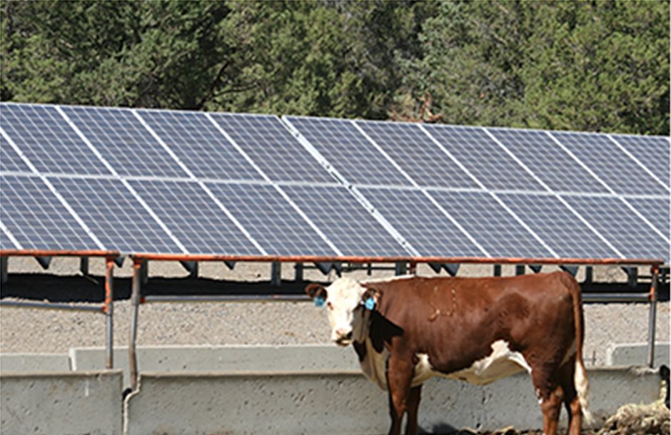 Αίτημα παράτασης δηλώσεων αγροτών για φωτοβολταϊκά