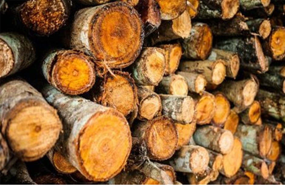 Νέα μέθοδος μετατροπής ξύλων σε βιοκαύσιμα
