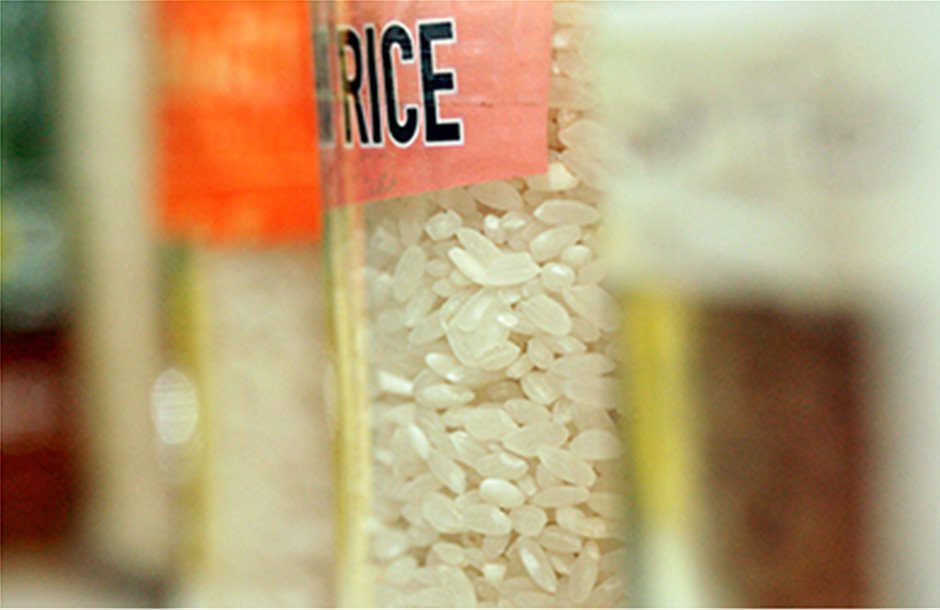 Πιο πολύ ρύζι διεθνώς το ‘16-’17 «βλέπει» το IGC 