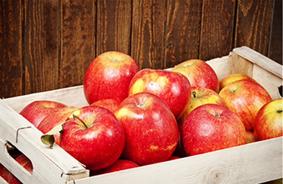 Συμπιεσμένες τιμές στην εσωτερική αγορά μήλου 