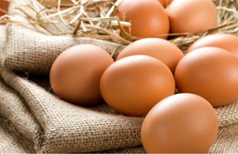 Αυγά και συμβουλές διατροφικής ασφάλειας 