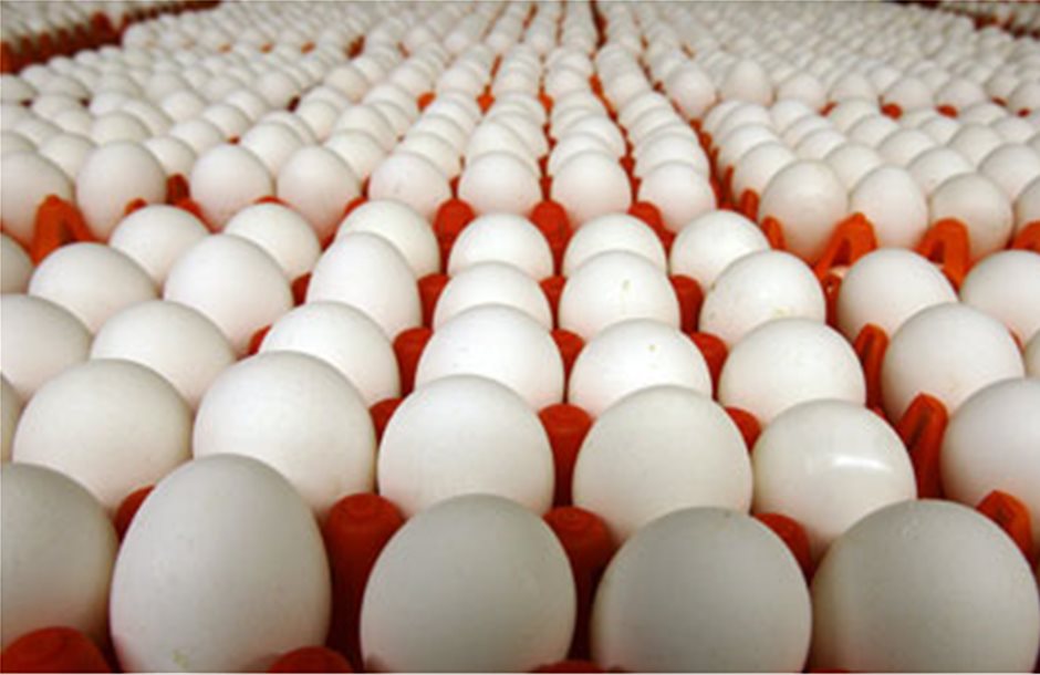 Η βιομηχανία αυγών ανησυχεί για τις συμφωνίες ελευθέρου εμπορίου 