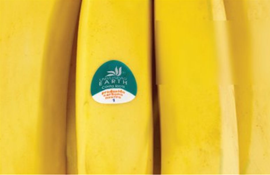 Ο ιός του Παναμά φέρνει καταστροφή για την μπανάνα