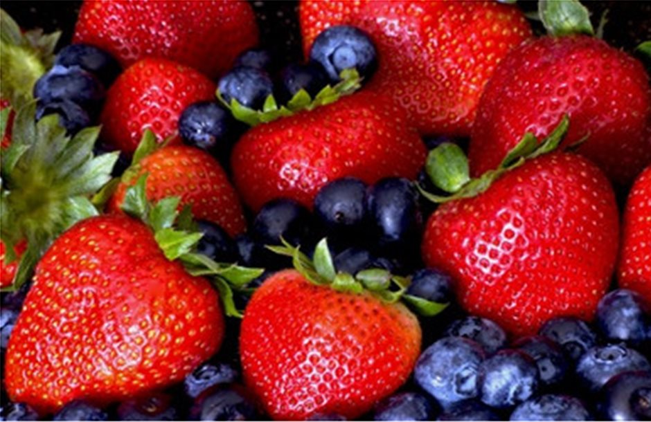 Φράουλες, μύρτιλα, αχλάδια, μήλα συμβάλλουν στην απώλεια βάρους, λέει το Harvard 