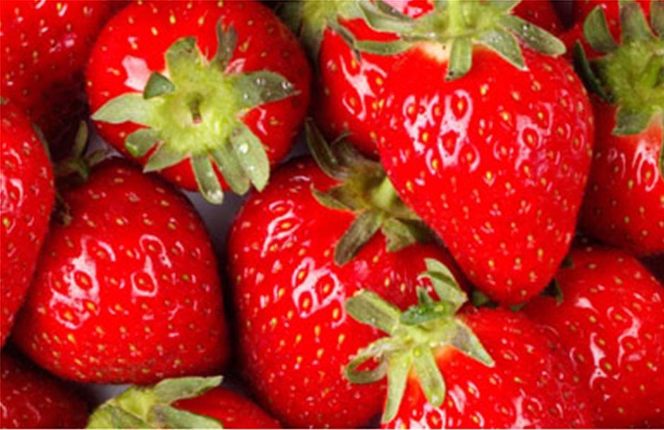 Πτώση κατά 8% σημείωσε η ισπανική σοδειά φράουλας