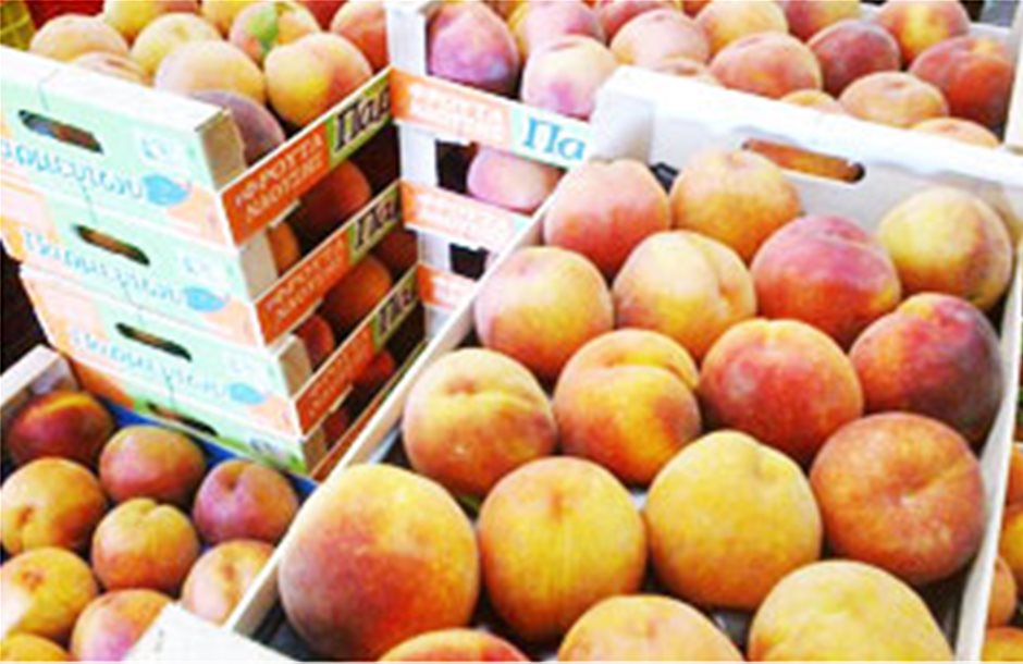 Αύξηση ελληνικών εξαγωγών φρούτων προς τη Γαλλία το α΄ εξάμηνο 2013 