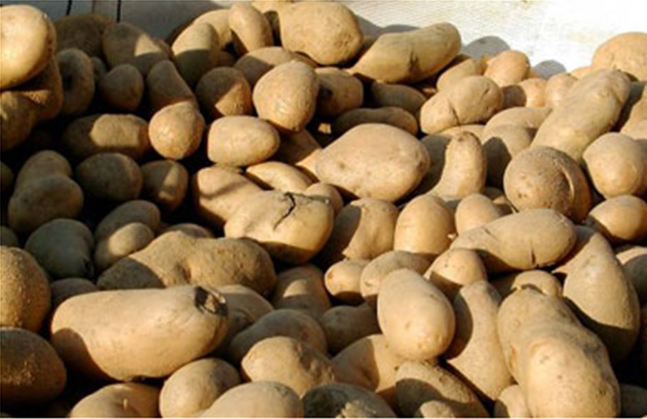 Ανέλαβε δράση η ομάδα Πιερίας για τη διάθεση πατάτας