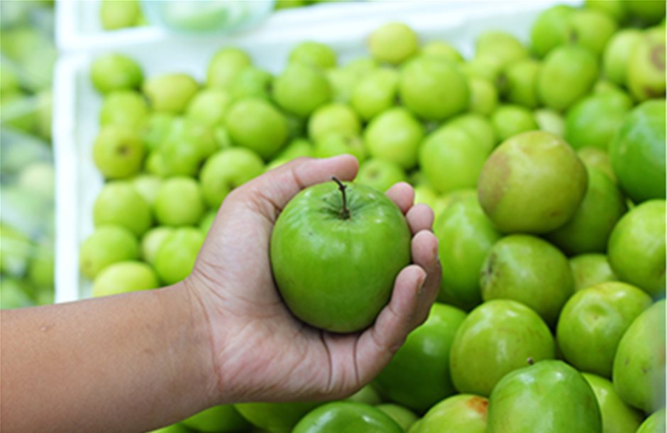 Στα 7 λεπτά το κιλό τα πράσινα και τα μισά μήλα αμάζευτα