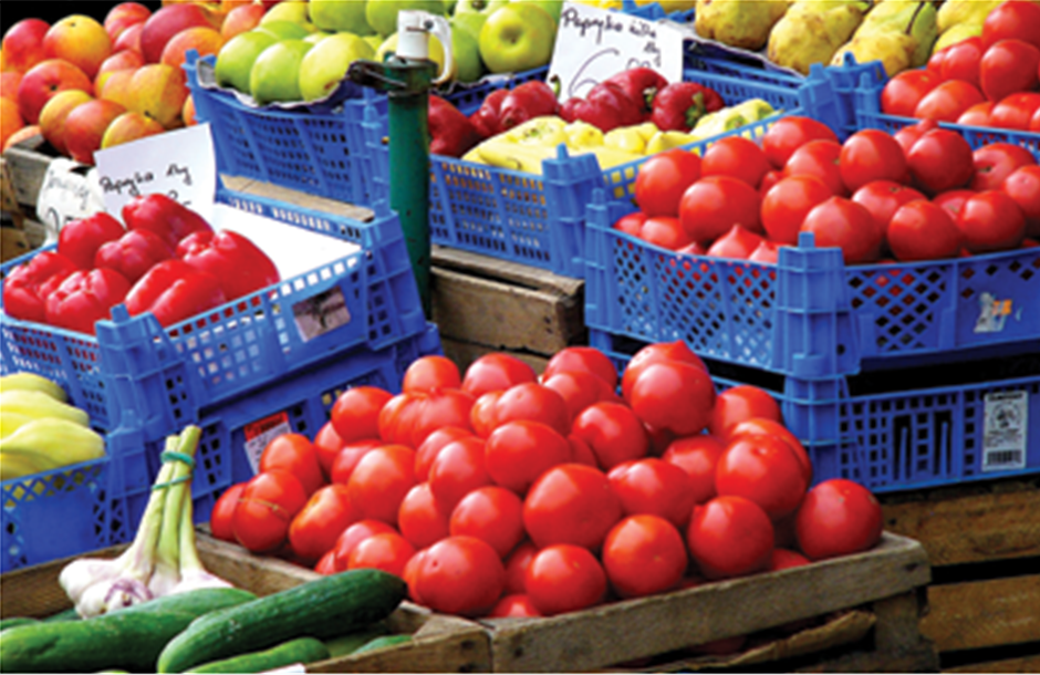 Καταγγελία 100 αγροτών της Κρήτης για εισαγωγή σκοπιανής ντομάτα