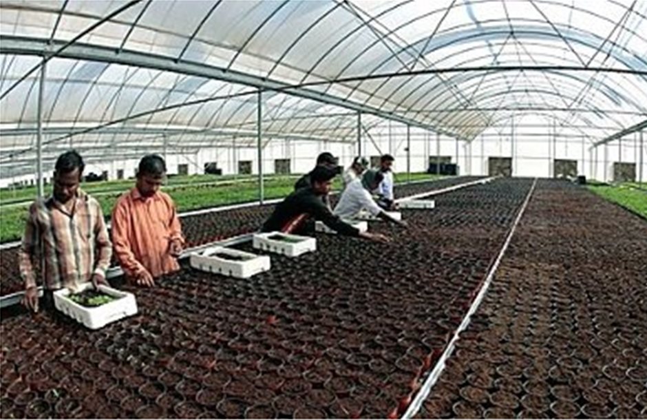 Τεχνητό έδαφος για καλλιέργειες έφτιαξαν στο Κατάρ