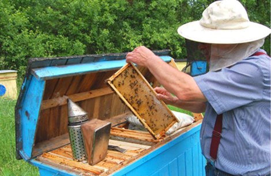 Άνοιξε συζήτηση για τσεκ ανά κυψέλη σε μελισσοκόμους