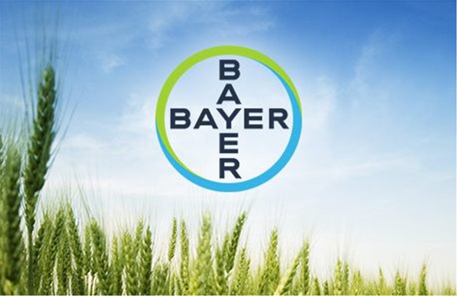 bayer_wheat