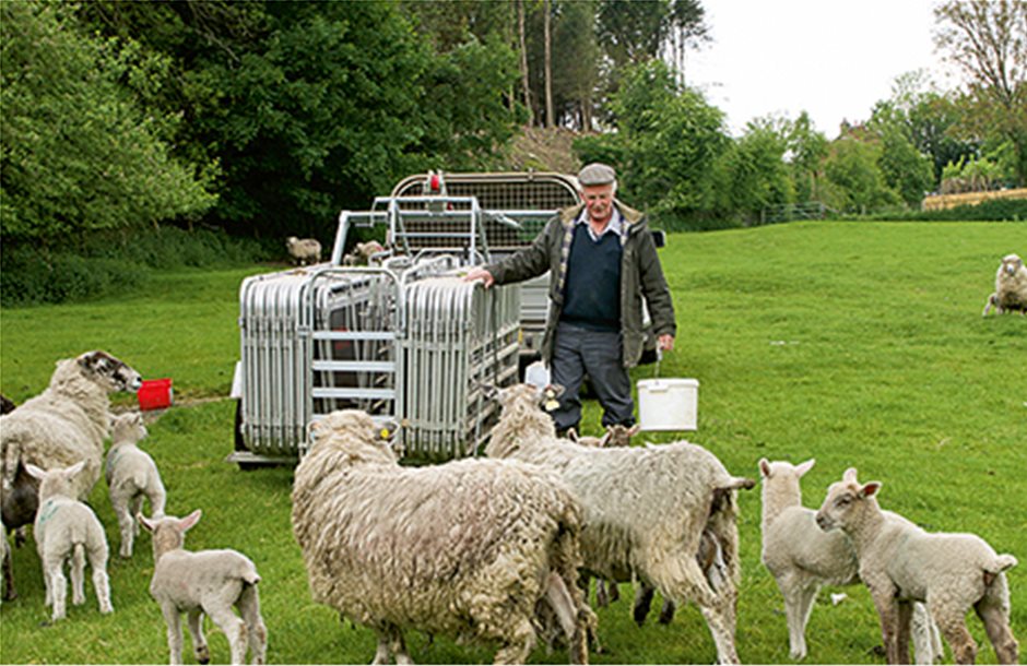 Κινητή περίφραξη θέλει το μέλλον της προβατοτροφίας