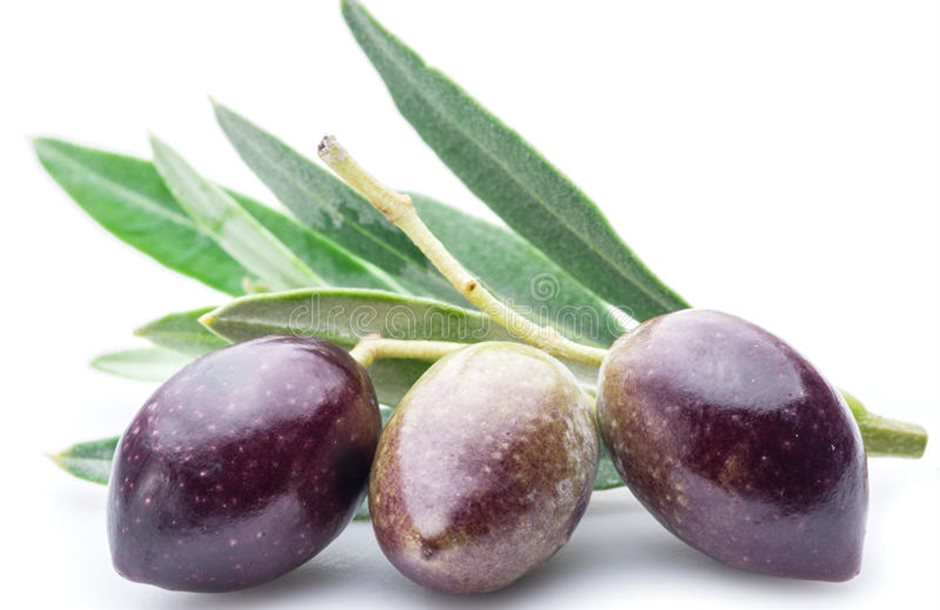 three-fresh-olives-leaves-white-background-64115218__1_