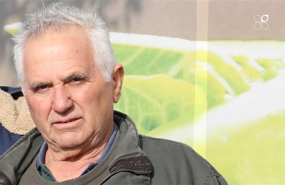 timitiko_diakrisi