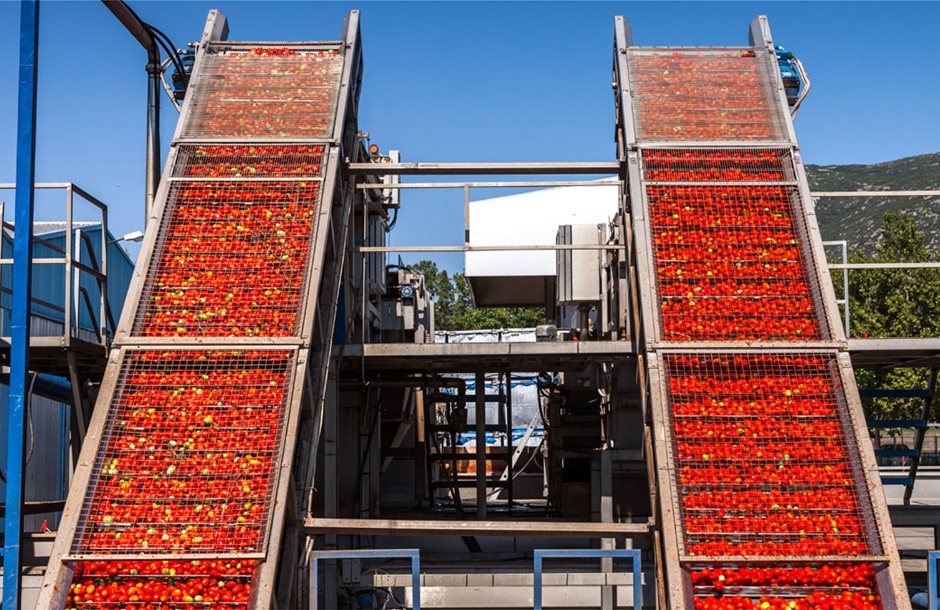 tomato_processing_factory_IMG_7631_1200