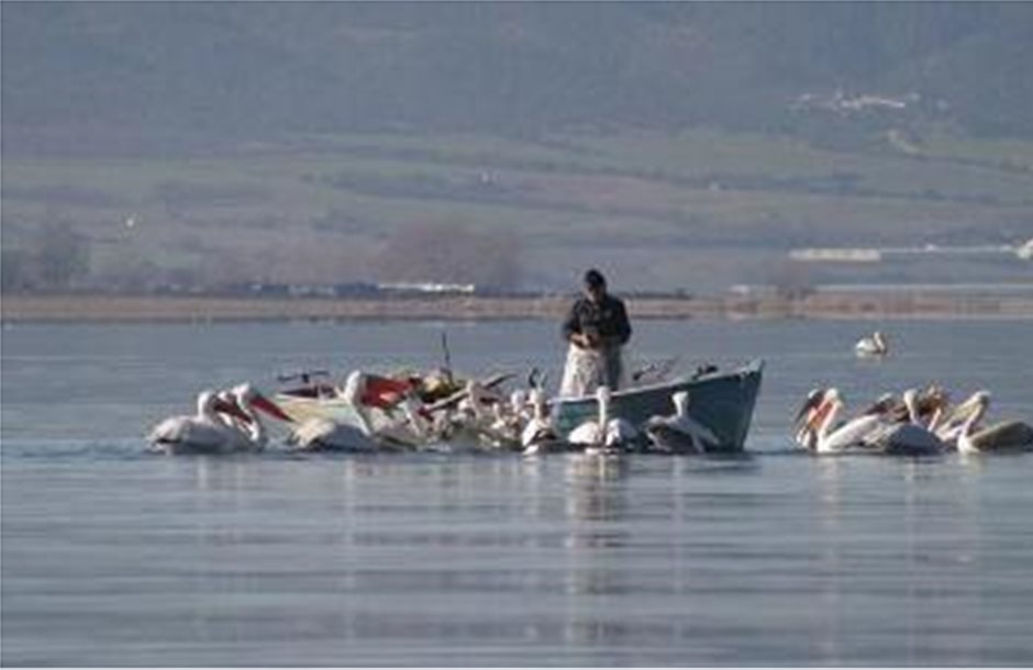 Απαγόρευση αλιείας στα εσωτερικά ύδατα Πιερίας ως 7 Ιουνίου 