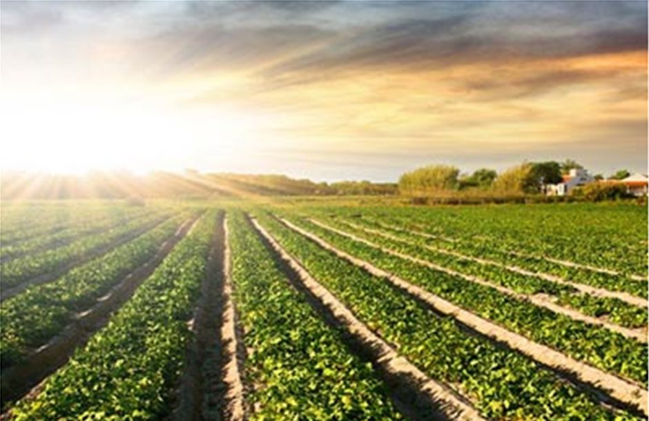 Πράσινη διαχείριση στην εφοδιαστική αλυσίδα του αγροδιατροφικού τομέα