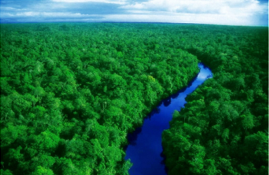 Δικαστική απαγόρευση για το άνοιγμα ορυχείων στον Αμαζόνιο