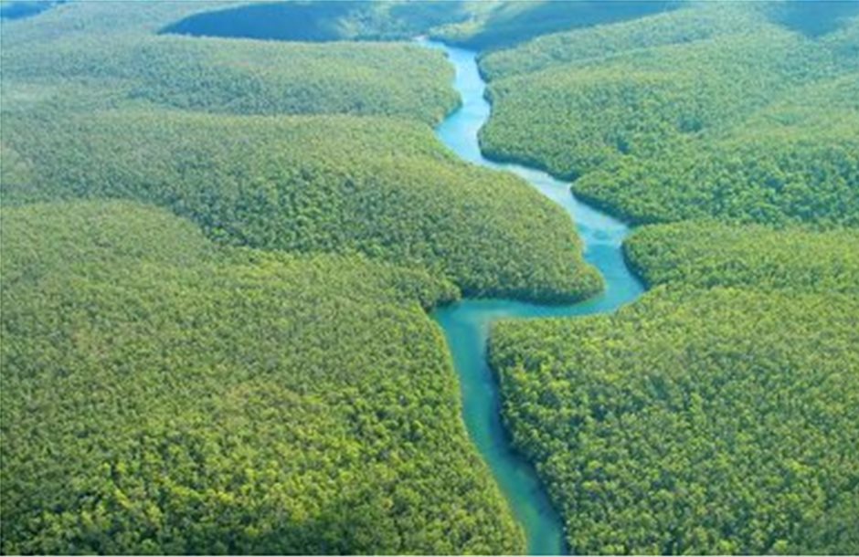Δάσος του Αμαζονίου θέλει να εθνικοποιήσει η Βραζιλία