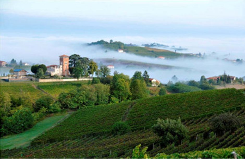 Με θέμα τα ερυθρά κρασιά του «Piemonte» η διοργάνωση γευσιγνωσίας της Wine Plus 